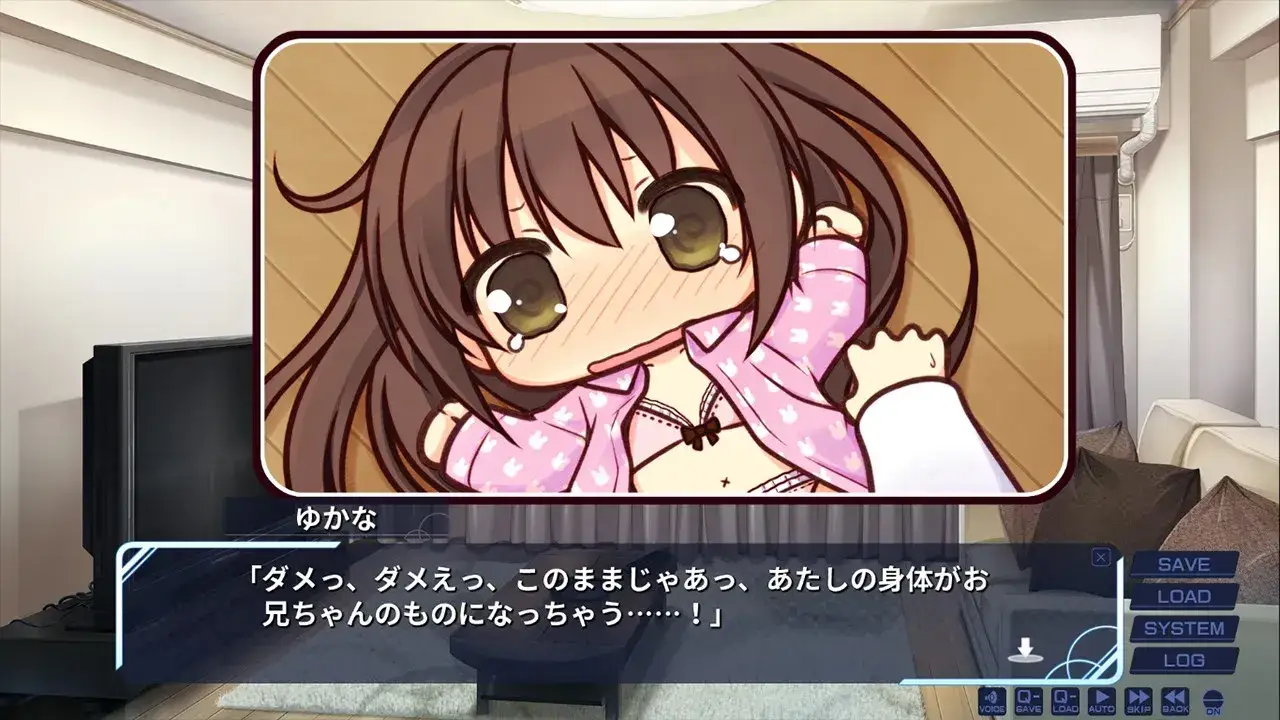 妹のセイイキ 妹的圣域 PC+KRKR平台 gal类型图片-3