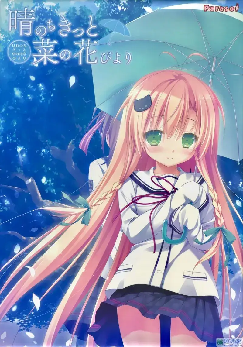 晴のちきっと菜の花びより