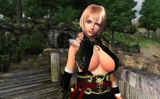 上古卷轴 5 Skyrim SamuRai Ver3.1