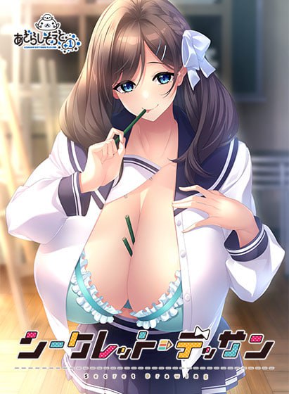秘密素描v1.0 PC版