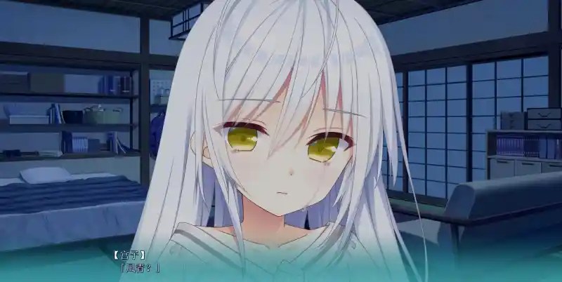 恋爱成双/Futamata Ren'ai: Two Times the Trouble 官方简体中文版 PC电脑版v1.2.0配置需求与更新内容