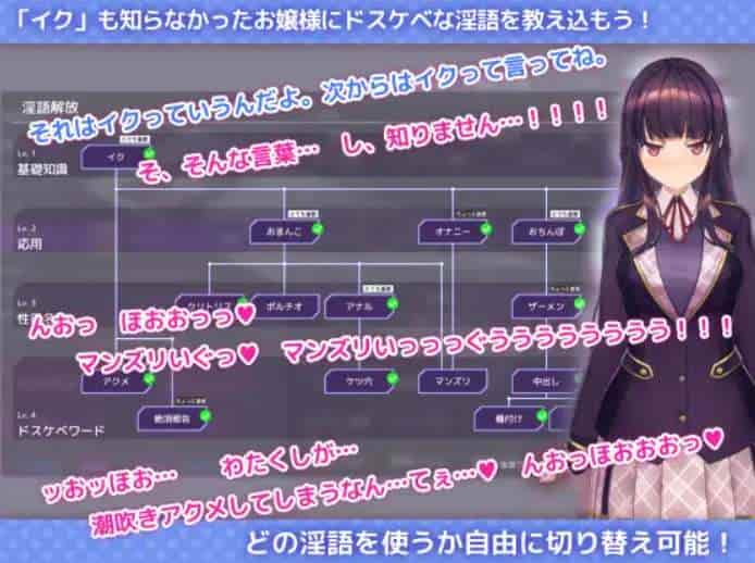 清纯大小姐养成模拟 洗脳アプリで清楚なお嬢様を育成するシミュレーション